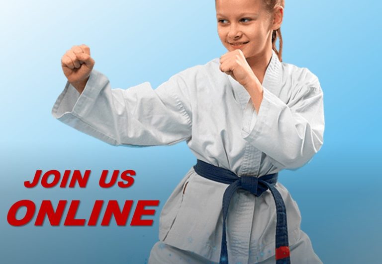 Martial arts online